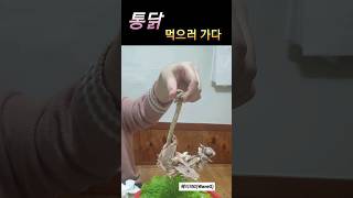 4kg급 엄청난 치킨, 아니 통닭을 먹다