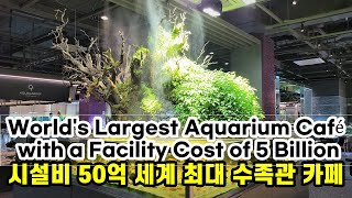 [SEOUL] The world's largest aquarium cafe with facility costs of 5 billion won 시설비 50억 세계 최대 수족관 카페