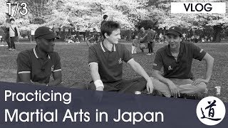 Differences Between Japanese & Western Budo Practice - Seido Talks [Vlog #03 - Part 1/3]