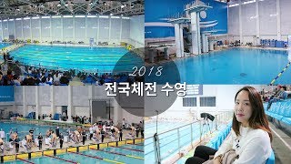 전국체전 수영🏊🏻‍♀️ 경기 현장을 담아오다! 박태환 선수 계영 800m  / 최미혜 수영 🐳