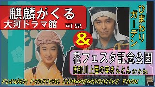 麒麟がくるの大河ドラマ館と花フェスタ記念公園を散策I took a walk in  Flower Festival Commemorative Park.