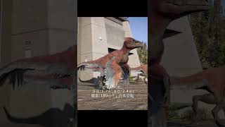 火盜龍 Pyroraptor ピロラプトル 파이로랩터