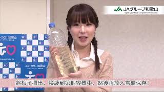 JA How to Make Ume Juice and Umeshu Kanton 0520  13LKFS