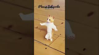 जानवरों के अजब-गजब कारनामे #short #youtubeshorts #monkey #catvideos