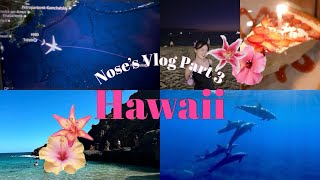 【Hawaii】イルカ🐬ウミガメと一緒にシュノーケリング💖海外で携帯紛失?!