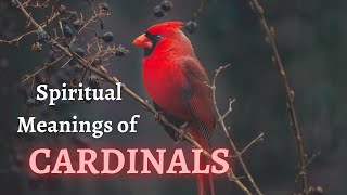 🐦🐦Seeing CARDINALS Around You? Learn About the Spiritual Meanings and Symbolisms of CARDINALS