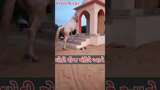 ઘોડી રોજ મંદિરે દર્શન કરવા આવે/ 2.m #view  #jayvachhraj  #viral #trending #shortvideo #youtubeshorts