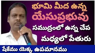 భూమి మీద ఉన్న యేసుప్రభువు -సముద్రంలో ఉన్న చేప -మధ్యలో పేతురు -షేకేము ఉపమానము