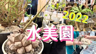 Vlog/2022年水美園，植物/昆蟲/爬蟲展