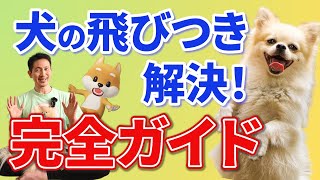 愛犬の飛びつき癖を直す簡単トレーニング方法！