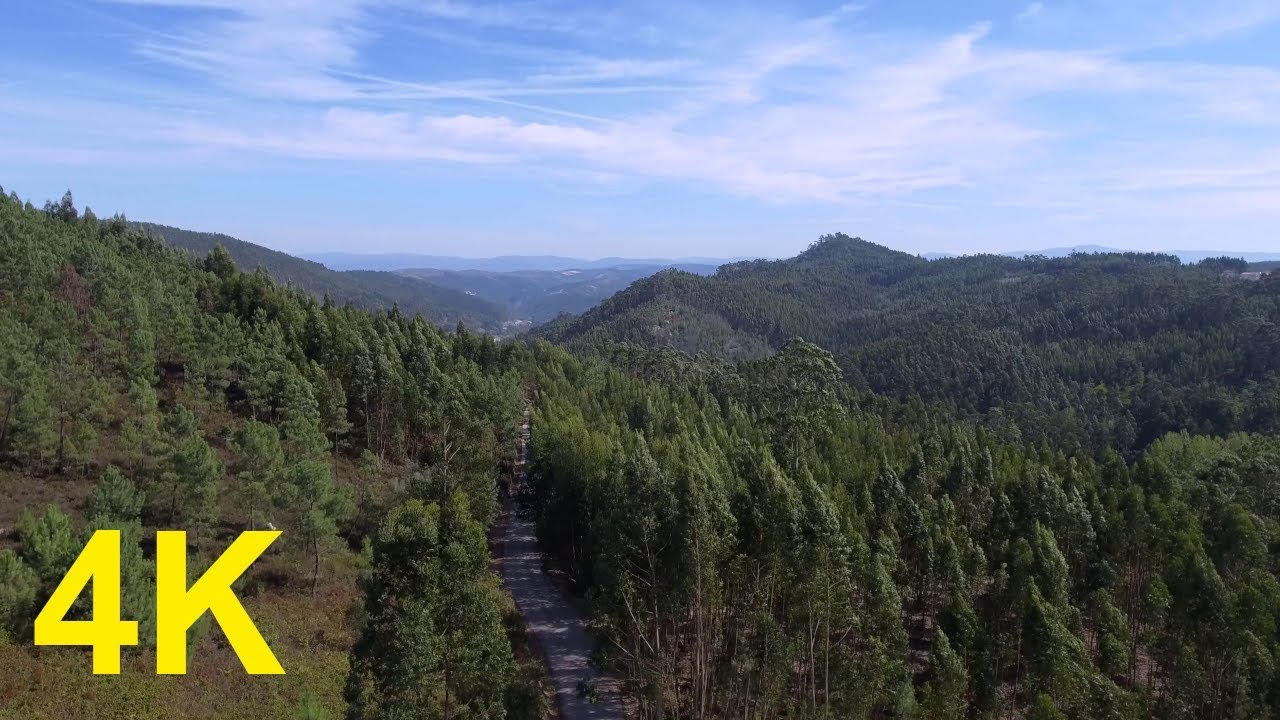 4k Free Stock Footage Aerial Landscape Forest Trees Drone Youtube