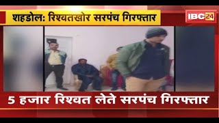 Shahdol News : 5 हजार रिश्वत लेते सरपंच Arrest | Rewa Lokayukta की टीम ने की कार्रवाई