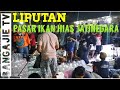 Liputan jam 3 di Pasar Ikan Hias Jatinegara Part 1 | Harga Ikan Predator