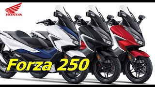 2021 Honda Forza 250 eSP+ Engine |TM