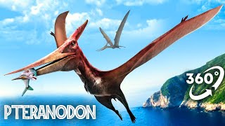 VR Jurassic Encyclopedia #16 - Pteranodon dinosaur facts 360 Education