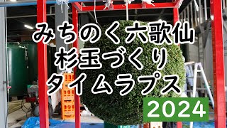 みちのく六歌仙 杉玉づくり タイムラプス 2024