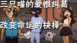 【动物谜城】烧脑测试：三只喵的爱恨纠葛！改变命运的抉择！