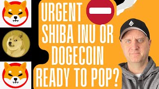 SHIBA INU COIN PRICE NEWS 🔥 DOGECOIN SET TO ROLL UP 🚀 ETHEREUM PRICE POPPING!