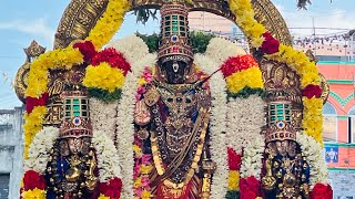 Sri parthasarathy perumal manavala mamunigal vidaiyatri sri poigaiaazhwar sri Pillailogachariyar