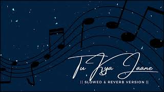 Tu Kya Jaane - Slowed & Reverb Version|| Bhavin Bhanushali | Ashnoor Kaur | Jyotica Tangri