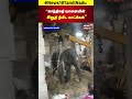 nellaiyappar elephant last video காந்திமதி யானையின் இறுதி நிமிட காட்சிகள் viral video n18s