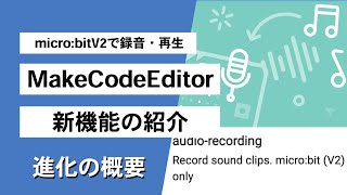 【番外編】　microbit V2で録音と再生