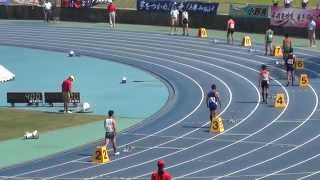 20140726兵庫県総体共通男子４００m決勝