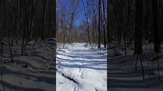 Nice winter hike this morning #snow #winterrelax #relaxingmusic #wintersounds