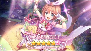 クルミ☆6開放クエストフルオート【プリコネR】