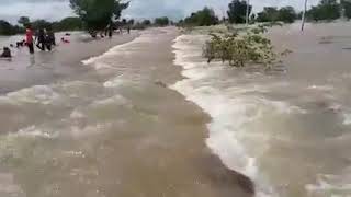 Flooding of rice fields#farming #rice #ricefarming