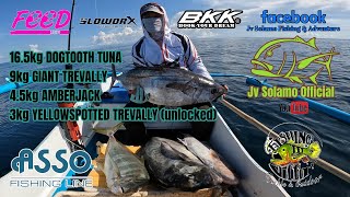 DOGTOOTH TUNA 16.5kg, GIANT TREVALLY 9kg, Amberjack \u0026 YellowSpotted Trevally (Unlocked)