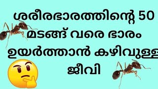 പൊതുവിജ്ഞാനം/general knowledge.