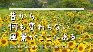 「ぼくの夏休み２」宮城県加美町「松本家住宅」日本の原風景\