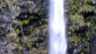 amidagataki20081025.wmv