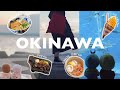 【okinawa trip】アラサーオタクたちの2泊3日沖縄旅行🏝️🌺サンセットで心を癒す/沖縄料理を満喫/ロケ地巡り