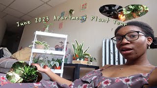 June Summer 2023 Apartment Plant Tour Over 50 | Precious