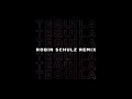 Download Dan Shay Tequila Robin Schulz Remix mp3