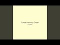 Forest Harmony Ember