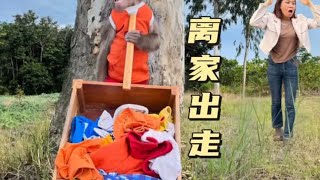 小猴子离家出走了，可把妈妈急坏了 #萌宠 #萌宠出道计划