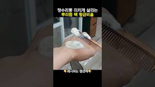 뿌리펌 팩 확금비율 마지막 ver. (레시피는 고정댓글에👉)