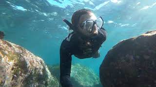 Go Pro: Freediving at Cabbage tree bay and Jervis Bay (May 2021)