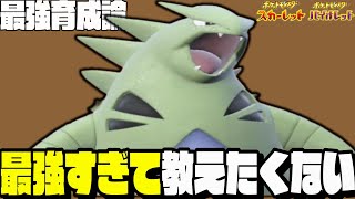 バンギラスが実はやばい…1匹で相手パーティが崩壊します！【ポケモンSV】【育成論】【スカーレットバイオレット】【対戦】【ランクマ】【初心者】