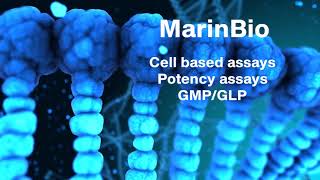 Cell Based Assay Services