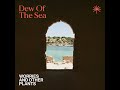 dew of the sea