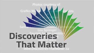 Sarnia-Lambton Discoveries That Matter Brand Overview