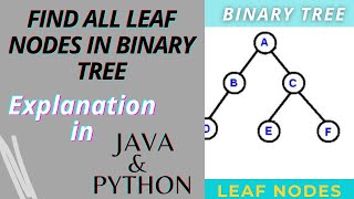 Print All Leaf Nodes in Binary Tree| Java & Python Implementation| Binary Tree Data Structure
