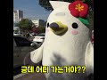 통영 캐릭터 동백이 어디 가는 중