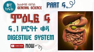 8ኛ ክፍል| አጠቃላይ ሳይንስ |General Science | Chapter 4 | Part 4 | Digestive System | ሥርዓተ ልመት / እንሽርሽሪት/