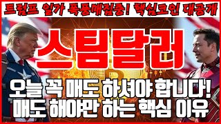 [스팀달러 코인분석] 오늘 꼭 매도 하셔야 합니다! 매도 해야만 하는 핵심 이유