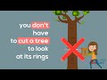 metlink using tree rings to understand weather u0026 climate in the past